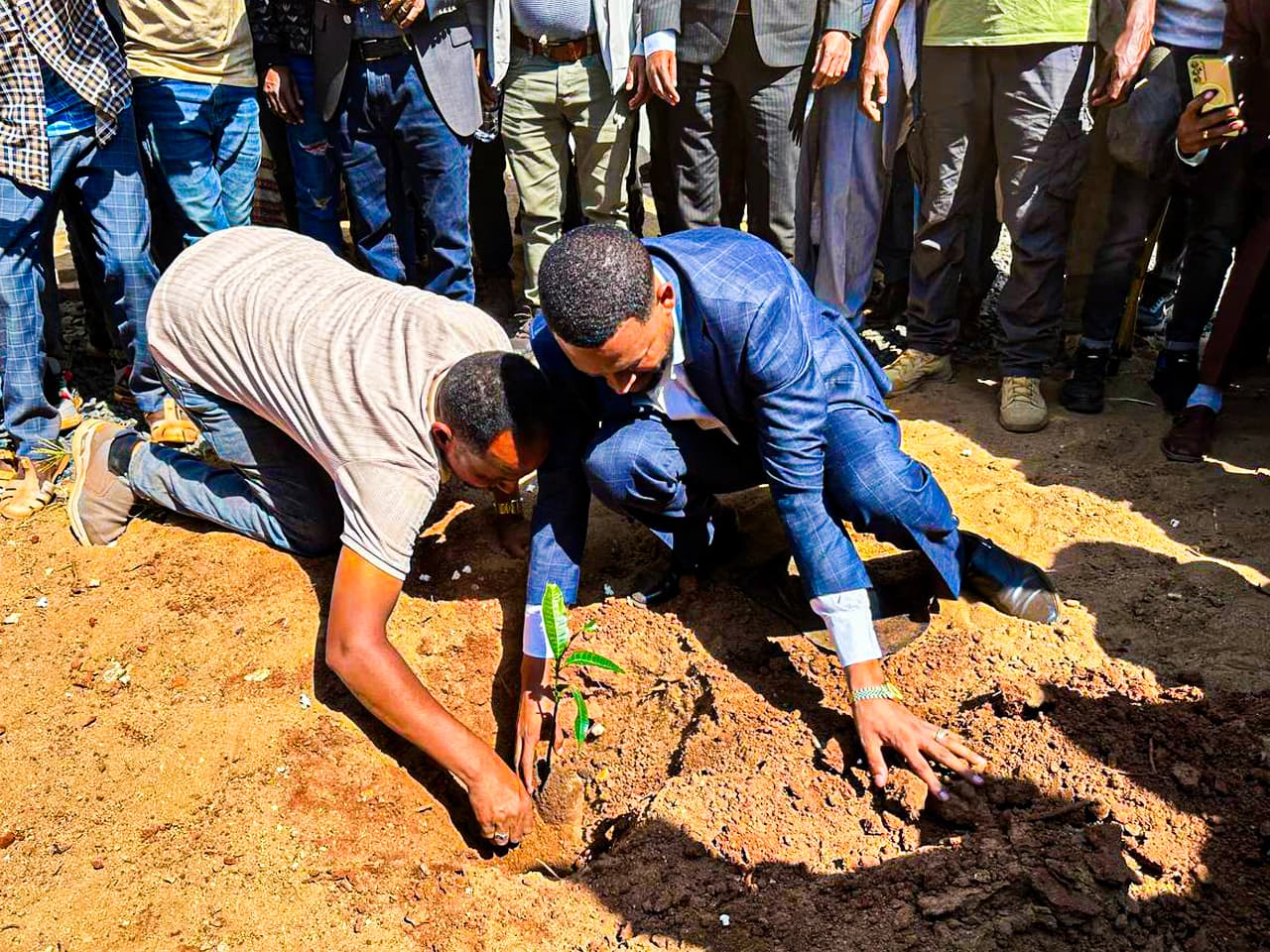 ZG Business Group - Image 2